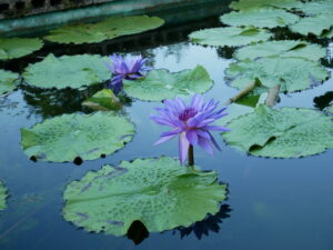 ミニ研修交流会（2025年2月）